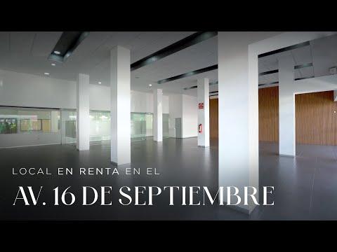 Previsualización del video