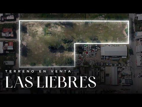 Previsualización del video